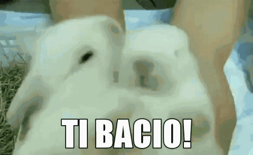 Ti Bacio Ti Mando Un Bacio Bacino Bacetto Bacini Bacetti Baci Mandare I Baci Ciao Ti Voglio Bene GIF