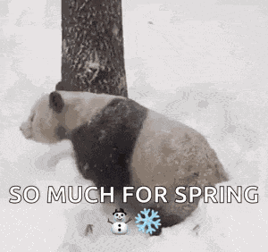 Tiantian Snow GIF