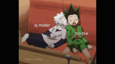 Tico Brai Iq Moller GIF