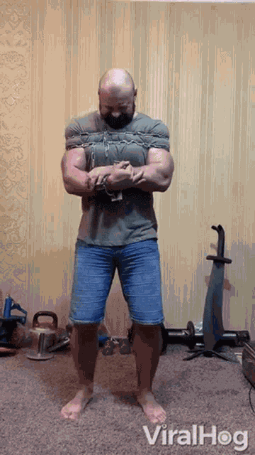 Tied Up Viralhog GIF