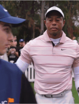 Tiger Tiger Woods GIF