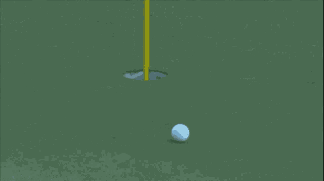 Tiger Woods GIF