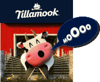 Tillamook Cow Tillamook Moo Sticker
