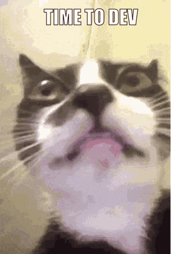 Time To Dev Cat GIF
