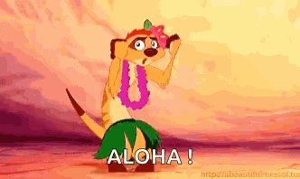 Timon Hula GIF