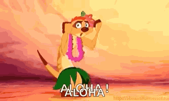 Timon Hula GIF