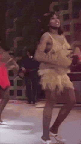 Tina Tina Turner GIF