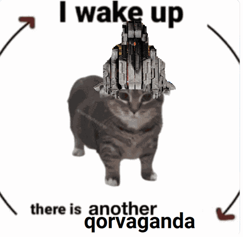 Tinfoil Cat Psyop Meme