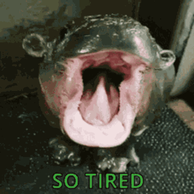 Tired Af Yawning GIF