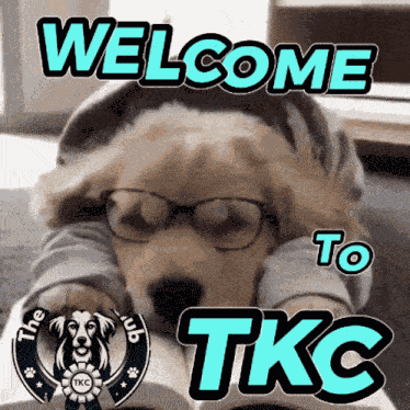Tkc Community New Member Love GIF