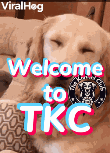 Tkc Welcome The Kennel Club Welcome GIF