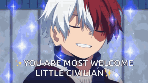 Todoroki Shoto My Hero Academia GIF