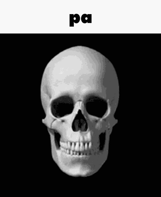 Toki Pona Skull GIF