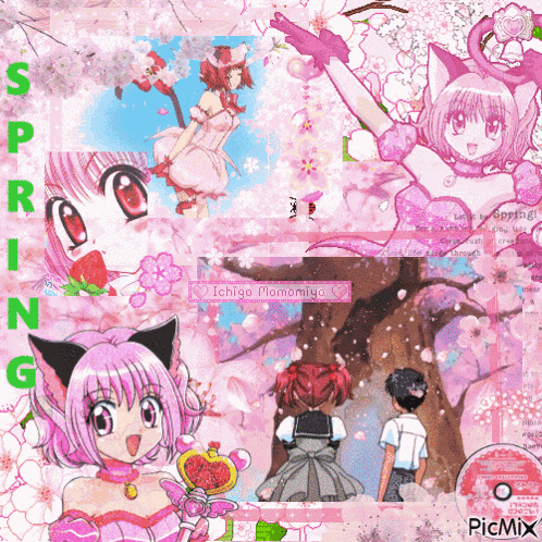 Tokyo Mew Mew Tokyo Mew Mew New GIF