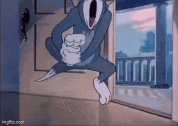Tom And Jerry Tom Cat GIF