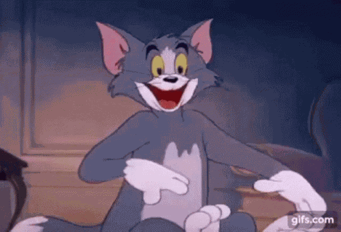 Tom And Jerry Tom The Cat GIF