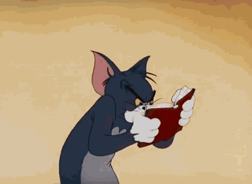 Tom Cat Tom And Jerry GIF