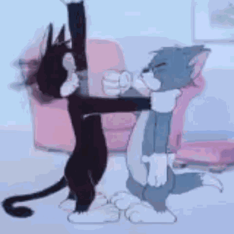 Tom Cat Tom The Cat GIF