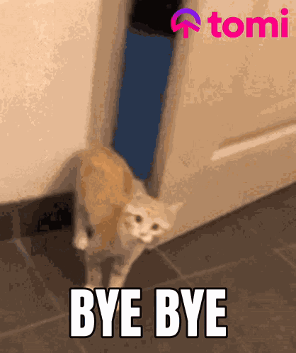 Tomi Tominet GIF