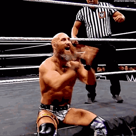 Tommaso Ciampa Clap GIF