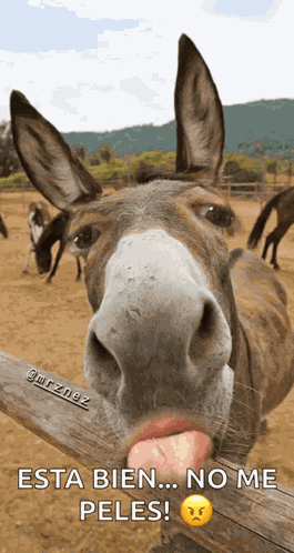 Tongue Out Tickle GIF