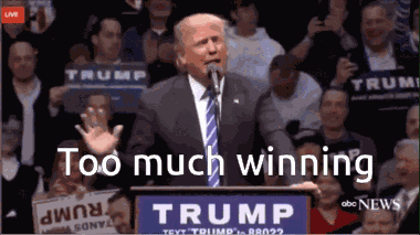 Too Much Winning GIF