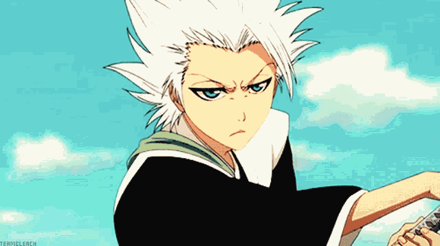 Toshiro Toshirohitsugaya GIF