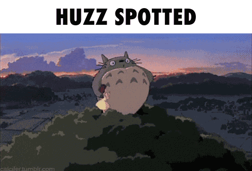 Totoro My Neighbor Totoro GIF