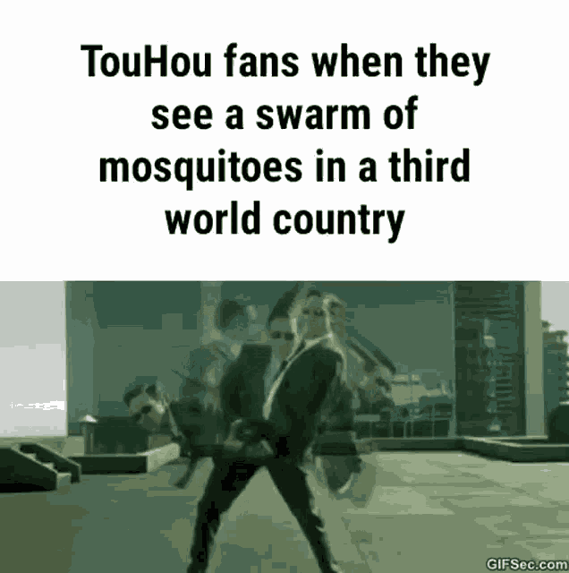 Touhou Matrix Dodge GIF