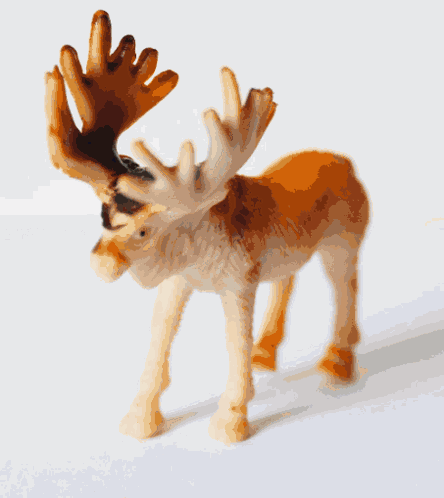 Toys Momo'S Toys GIF