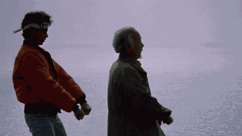 Training Mr Miyagi GIF