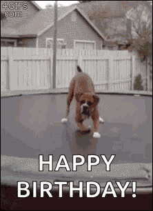 Trampoline Play GIF