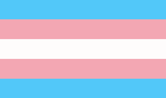 Trans Flag Meme