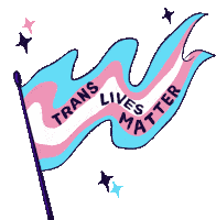 Trans Lives Matter Black Trans Lives Matter Sticker