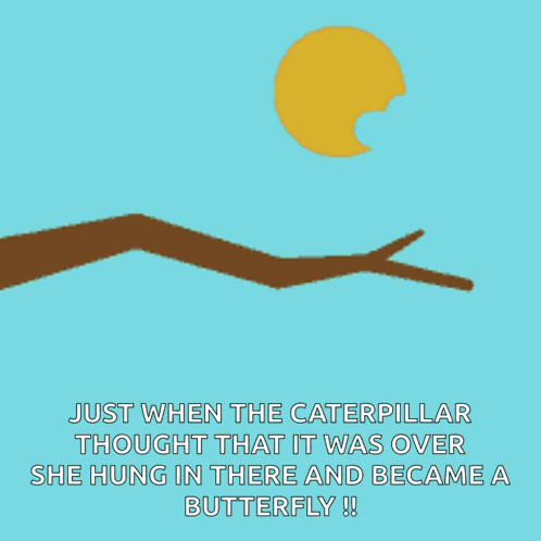 Transformation Caterpillar GIF