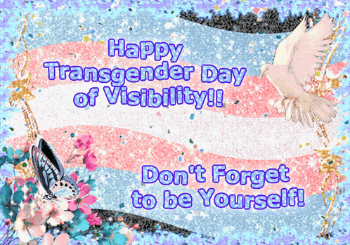 Transgender Transgender Day Of Visibility GIF