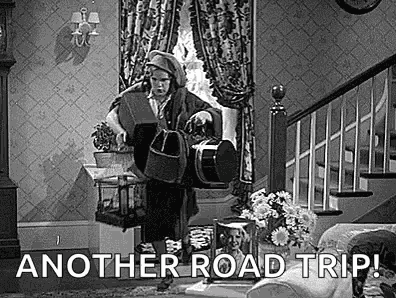 Travel Late GIF