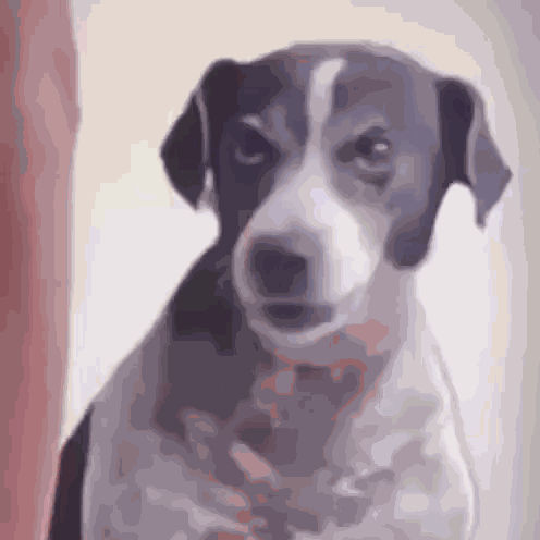 Tread Lightly Pissed Off GIF