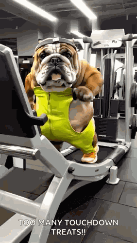 Treadmill Tread Mill GIF