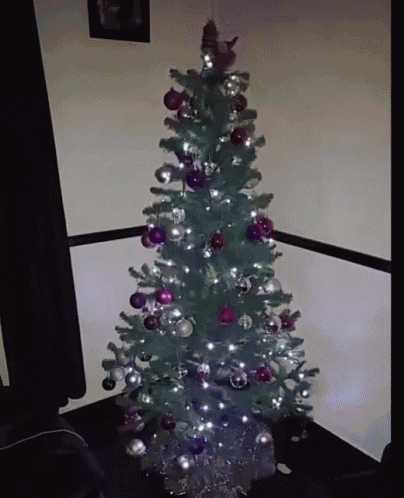 Tree GIF