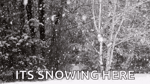 Trees Snowing Here GIF