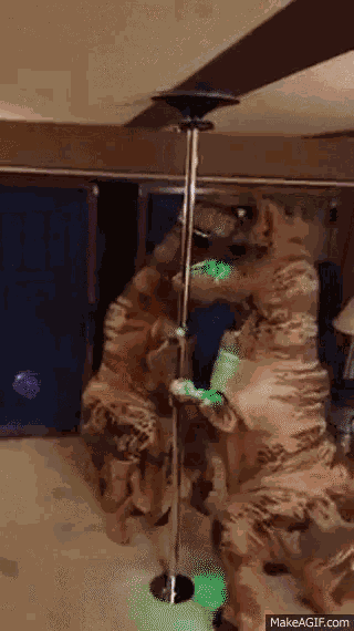 Trex Love GIF