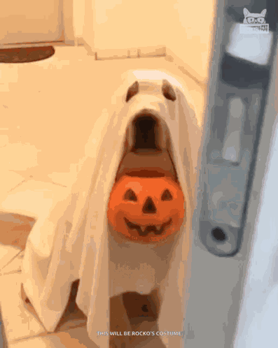 Trick Or Treat Halloween GIF