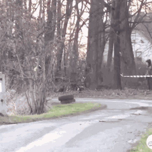 Trip Toads Toad Rally GIF