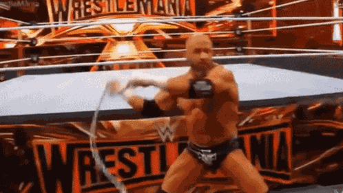 Triple H Batista GIF