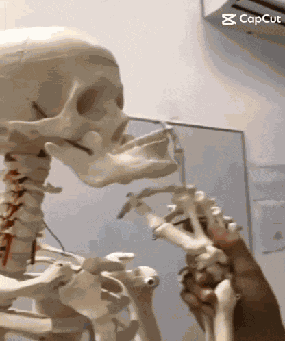 Trouve Moi 3946 Ahahah Meme