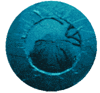 Troye Sivan Rush Sticker