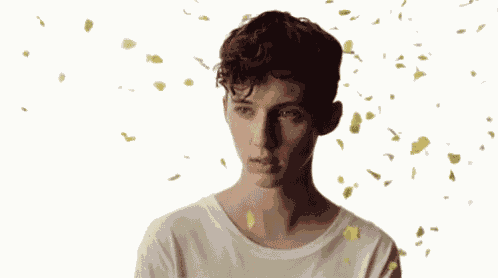 Troyesivan Troye GIF