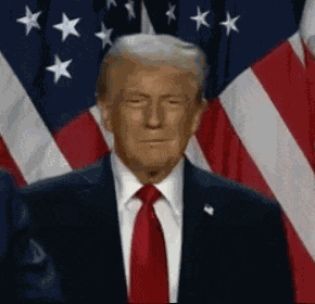 Trump 2024 Election GIF