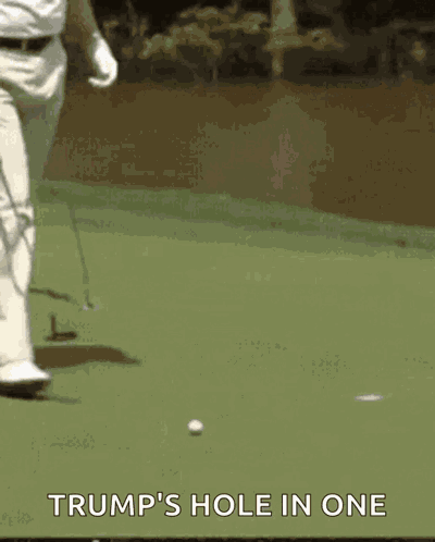 Trump GIF